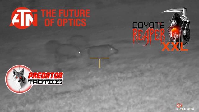 Predator Tactics Coyote Reaper XXL w ATN 4K PRO смотреть онлайн