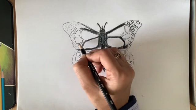 How to Draw A Monarch Butterfly for beginners/ step by step tutorial/ смотреть онлайн