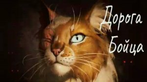 Яролика коты-воители,,дорога бойца"