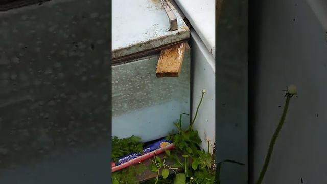 Хранение вермигумуса до продажи смотреть онлайн