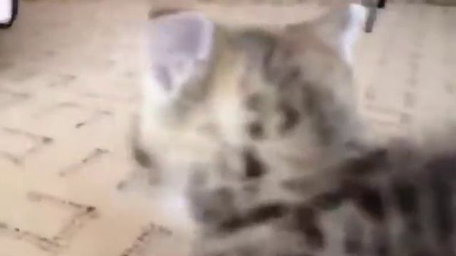 Кто кого?💃 смотреть онлайн