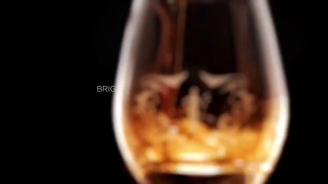 Master Anejo 15 Años Havana Club смотреть онлайн