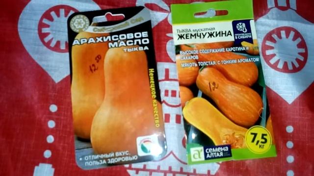 ОБЗОР семян ТЫКВЫ .Кубеинка март 2019г смотреть онлайн