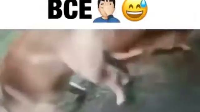 Теперь я видел все)))) смотреть онлайн