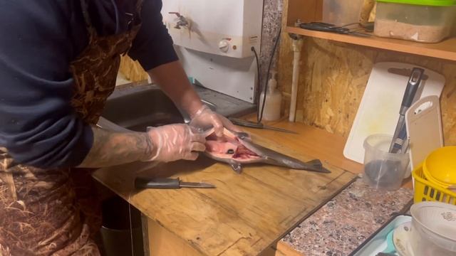 Навеска и цвет мяса форели с нового привоза смотреть онлайн