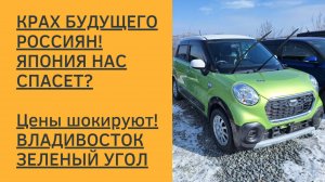 Обзор цен на кейкары в феврале 2025! Владивосток!