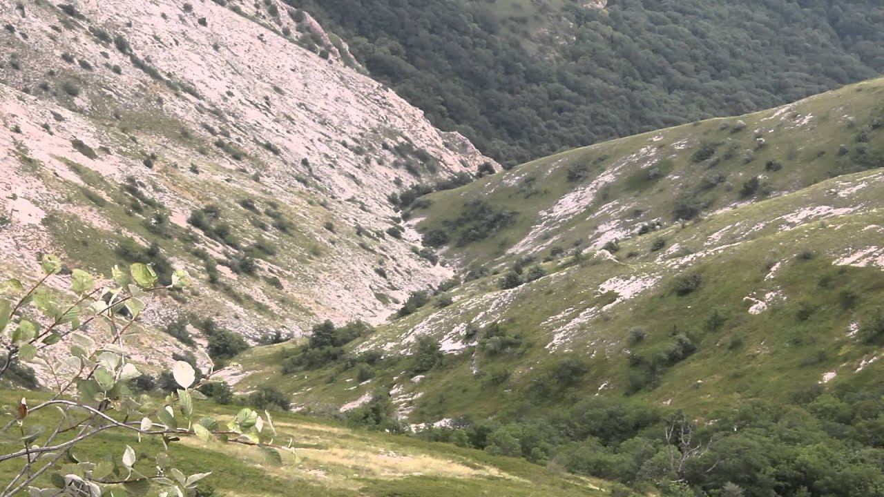 ката СК "БУДО" техника каратэ смотреть онлайн