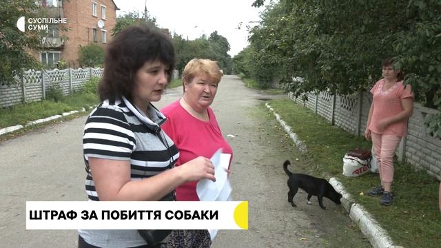 У селищі під Сумами чоловік побив безпритульну собаку і хлопця, який кинувся її захищати смотреть онлайн