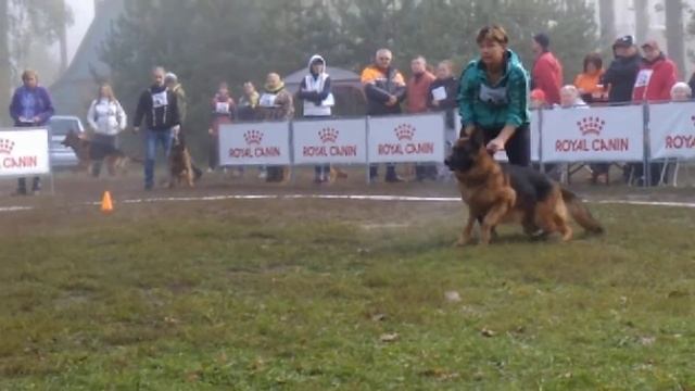 №46-Mike vom Schloss Rugland смотреть онлайн