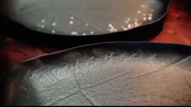 ГП ТЕСТ ДЛЯ САЙТА смотреть онлайн