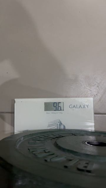 08-02-2025 - Взвешивание (1000 м)