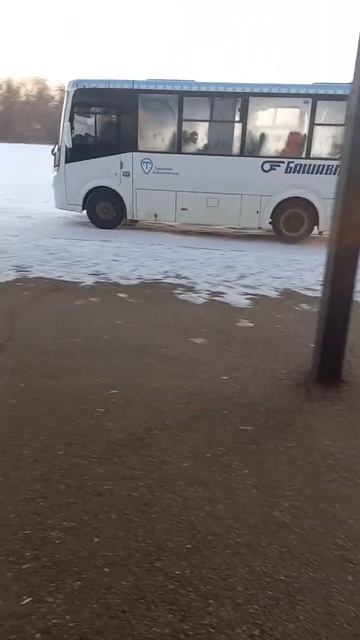 башавтотранс Паз-Вектор некст просто 🔥 смотреть онлайн