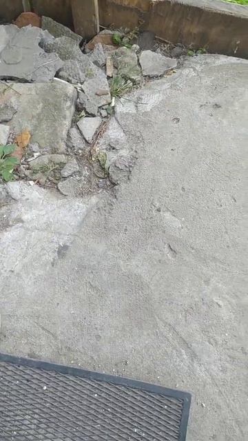 Лучший Металлоискатель... смотреть онлайн