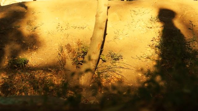 Փոխելով փողը սիրո հետ... (HD) смотреть онлайн