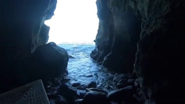 La Jolla Cave Store and La Jolla Children Pool (Was it worth the wait?!?) смотреть онлайн
