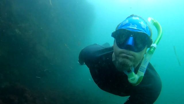 La Jolla, Cove & Caves (by Snorkeling Quest) смотреть онлайн