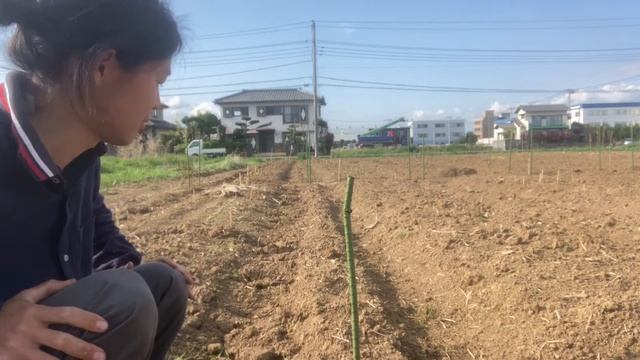 【自然農】通路に緑肥の種まき　　【初心者】【初心者】【緑肥】【イタリアンライグラス】【エンバク】【クリムソンクローバー】【自然栽培】SuSAN смотреть онлайн