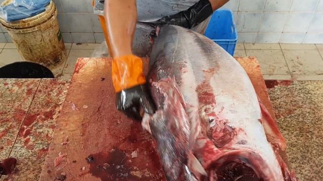 17 KG Tuna Fish $250 Cutting। Blue Whale Fish Cutting Knife skills। How to Cutting Bluefin Tuna Fis смотреть онлайн