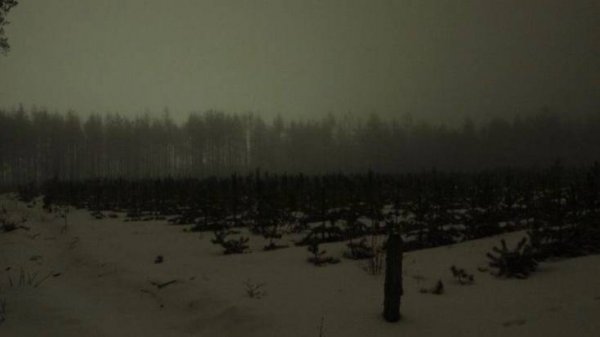 antisocial basic bild