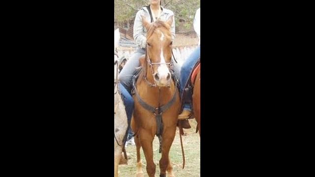 Tres Tambores Talissa martins смотреть онлайн