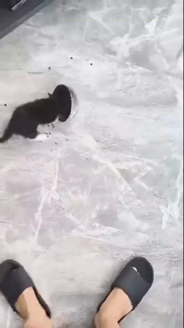 злостное нападение #shorts #love #чтослучилосьзадень смотреть онлайн