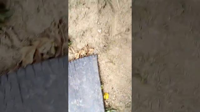 Крутой луаз назад в прошлое смотреть онлайн