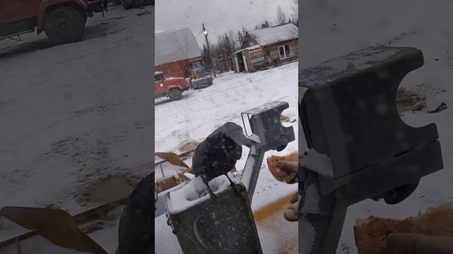 хитрый ворон(2) смотреть онлайн