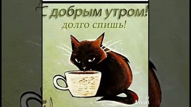 28 ноября 2017 г. смотреть онлайн