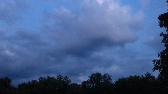 Летучие мыши Чернигов, Вал 20.07.19 #Чернигов #Вал #летучаямышь смотреть онлайн