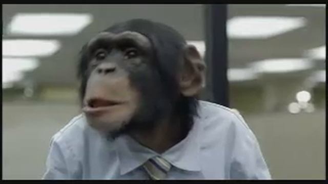 Monkey office смотреть онлайн