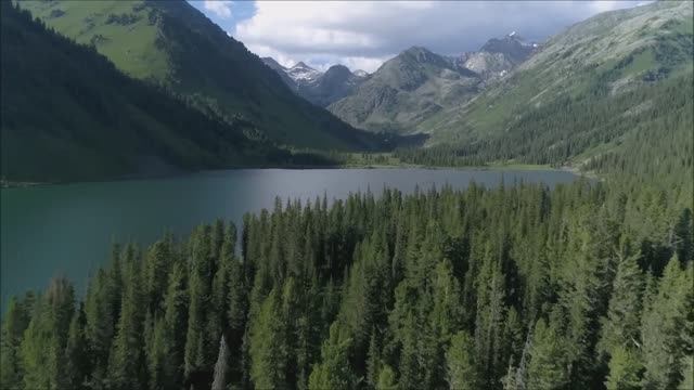 МУЗЫКА