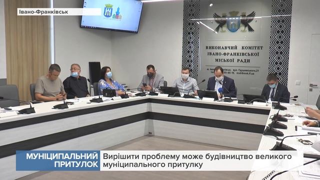У місті постала гостра проблема з кількістю безпритульних собак смотреть онлайн