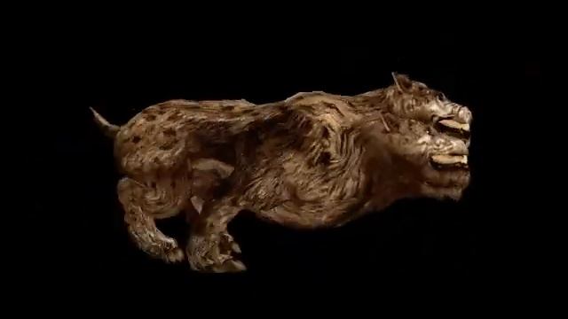 Cerber run.avi смотреть онлайн