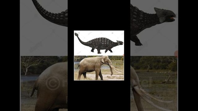 Ankylosaurus vs Palaeoloxodon смотреть онлайн