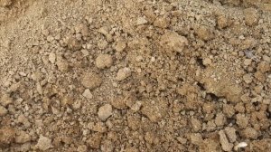 ТЕРМИТ ПРОТИВ МУРАВЕЙ