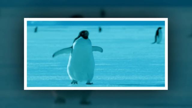 уходи красиво смотреть онлайн