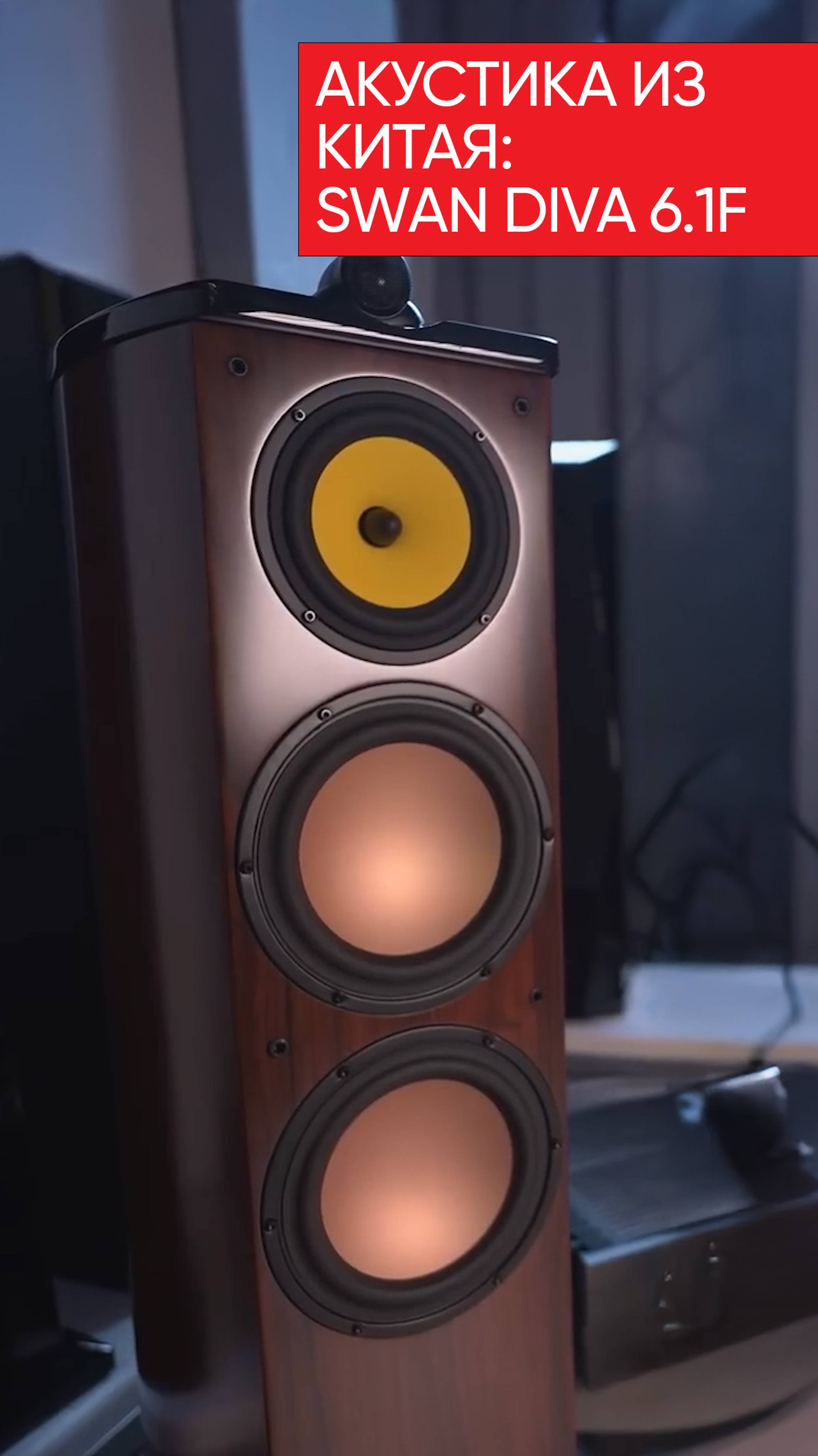 Swan Diva 6.1F смотреть онлайн