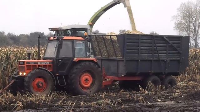 Mais oogst 2013 Hakselvereniging De Schilschoter Modder/Mud/Claas 840/Deutz Agrotron/Same Leopard 9 смотреть онлайн