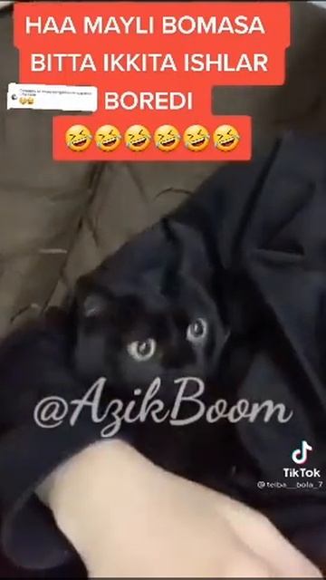 Azik boom смотреть онлайн