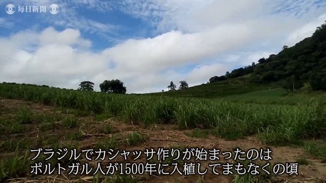 乾杯！世界のどこかで：ブラジルの蒸留酒カシャッサ　歴史香る「独立の味」 смотреть онлайн