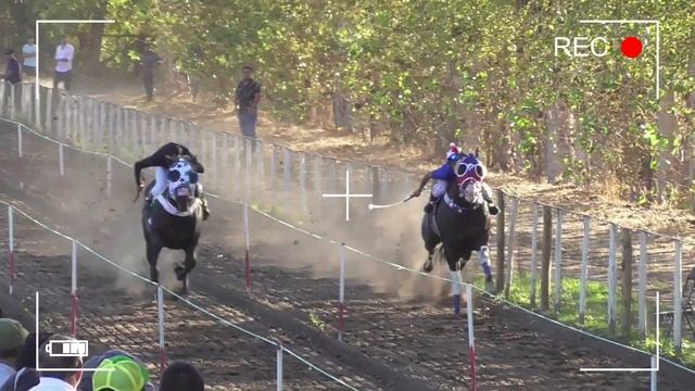 Perla Negra vs Chilindrina (Tremendo Carreron) смотреть онлайн