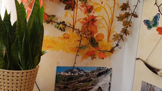 Без кота и жизнь не та))) Песнь майского горного дождя.... смотреть онлайн