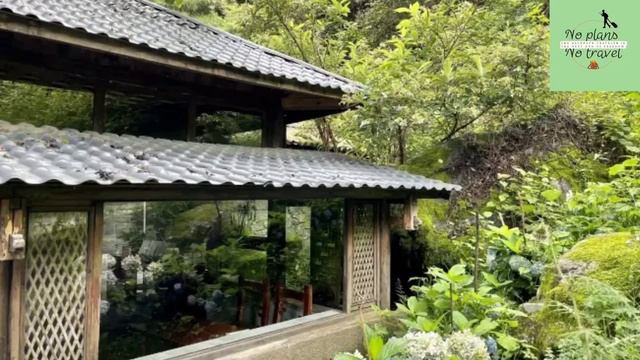 จีนซอยถัดไป DALI: THE CANGSHAN MOUNTAIN แจกแพลน | NoPlansNoTravel