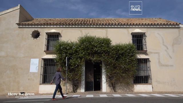 L'olio extravergine dell'Andalusia è il più premiato al mondo смотреть онлайн