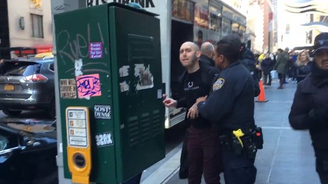 Anti-fur protester gets accosted by cops after disrupting Celine Dion's hotel exit in NYC смотреть онлайн