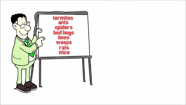 Pleasanton Termite Control | Orange Oil Termite Company in Pleasanton | Hitmen Termite смотреть онлайн