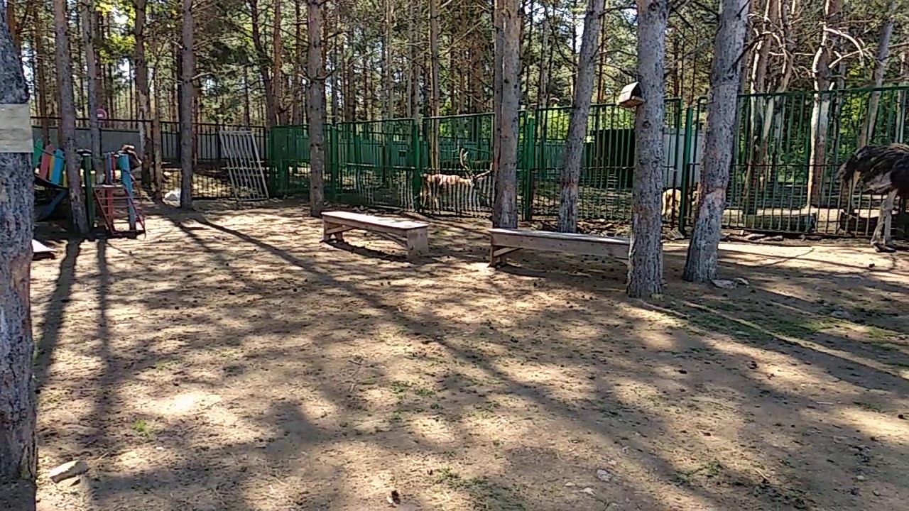 ката СК "БУДО" техника каратэ смотреть онлайн