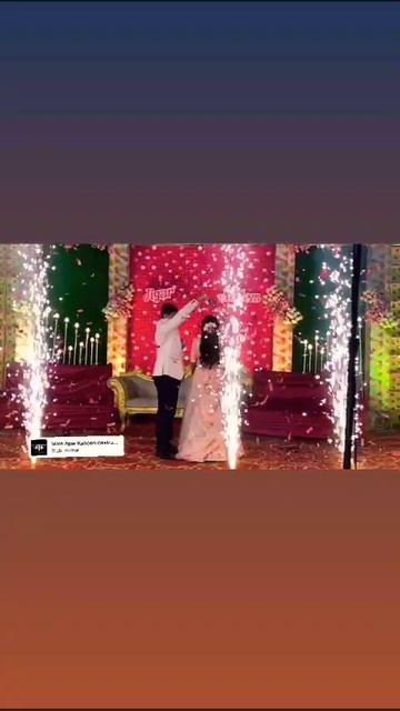 Love Birds 💕#shorts #viral #trending смотреть онлайн