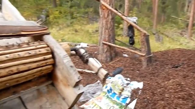 Запасаются кедровым орехом пока всё не сгорело смотреть онлайн