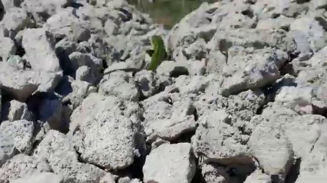 Изумрудная Царица смотреть онлайн